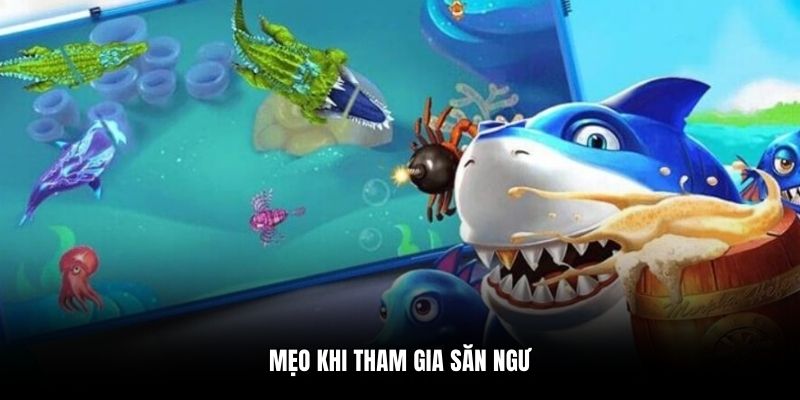 Mẹo khi tham gia săn ngư