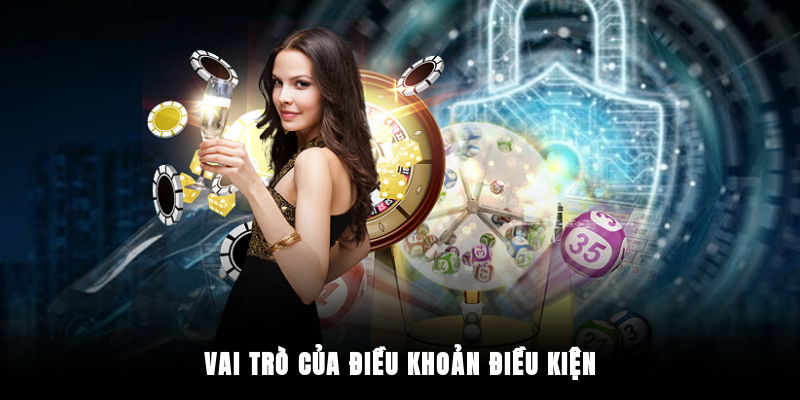 Vai trò của điều khoản điều kiện